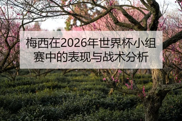 梅西在2026年世界杯小组赛中的表现与战术分析 | panda sports