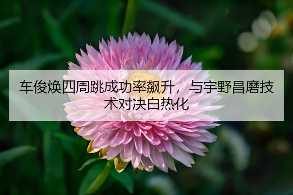 che-jun-huan-si-zhou-tiao-cheng-gong-lv-biao-sheng-yu-yu-ye-chang-mo-ji-shu-dui-jue-bai-re-hua-3-366.jpg