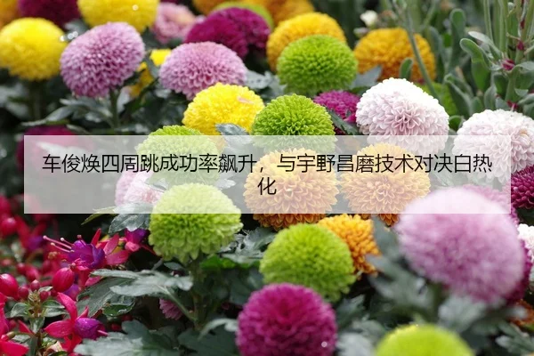 车俊焕四周跳成功率飙升，与宇野昌磨技术对决白热化