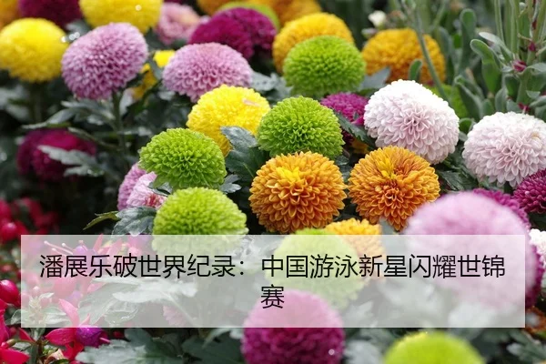 潘展乐破世界纪录：中国游泳新星闪耀世锦赛