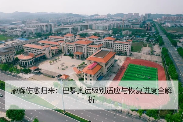 廖辉伤愈归来：巴黎奥运级别适应与恢复进度全解析